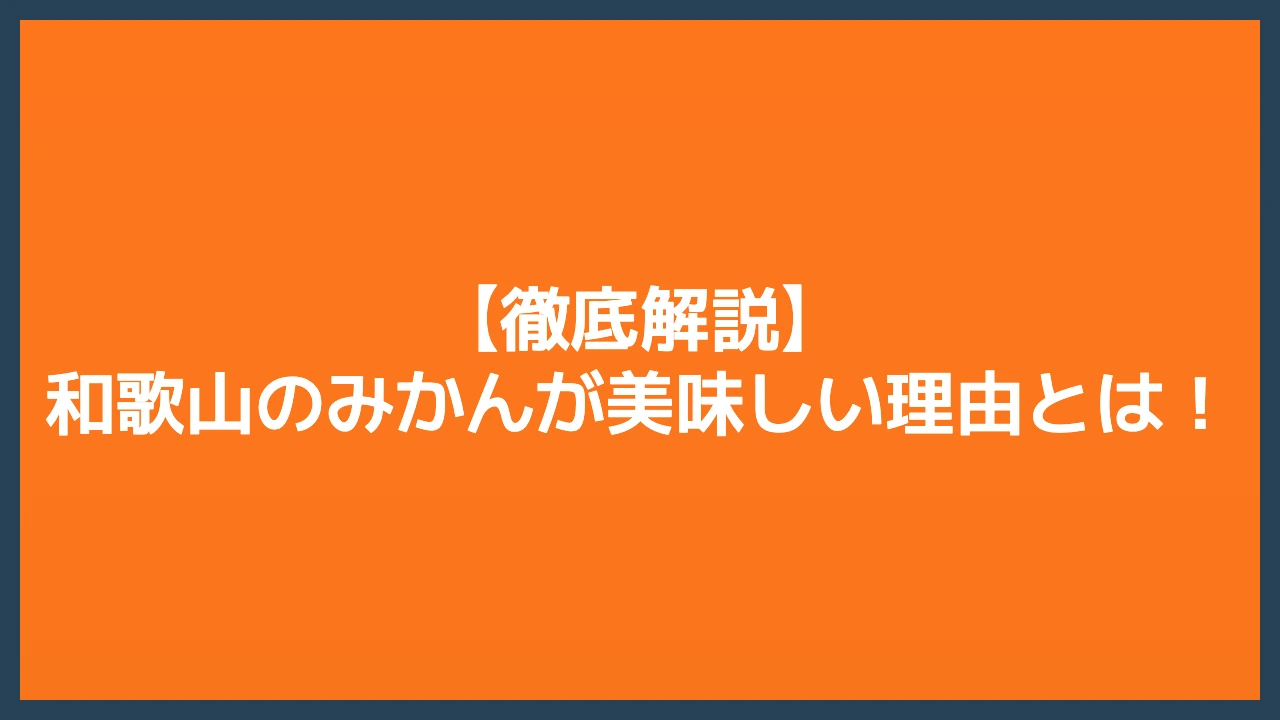 【徹底解説】和歌山のみかんが美味しい理由とは！